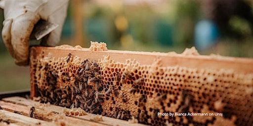 Beekeeping School