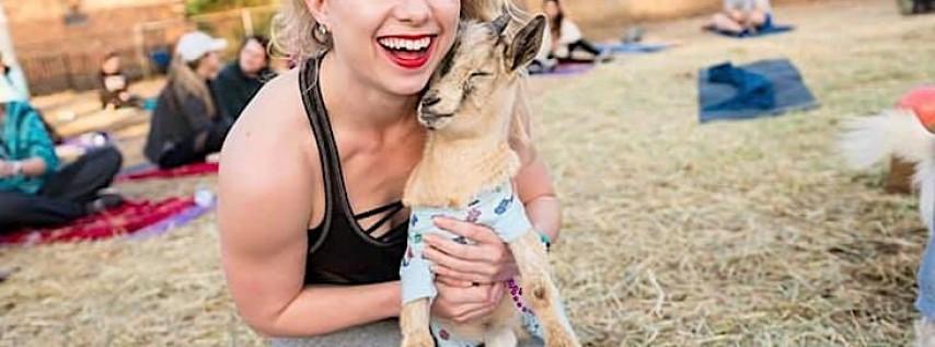 Halloween Costume Goat Yoga @ Bedford Public Library!