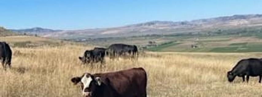 Utah Beef Field Day