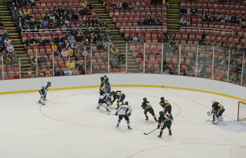 Notre Dame Fighting Irish at Michigan State Spartans Men's Hockey