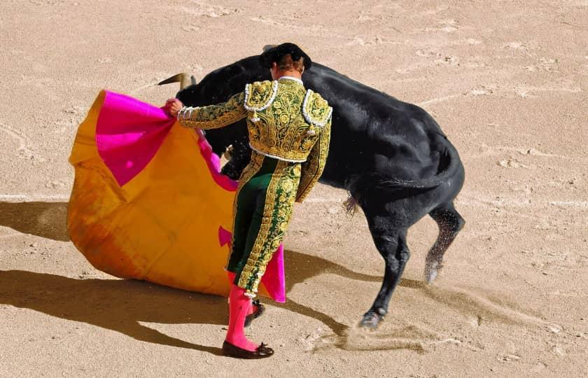 Ultimate Bullfighters