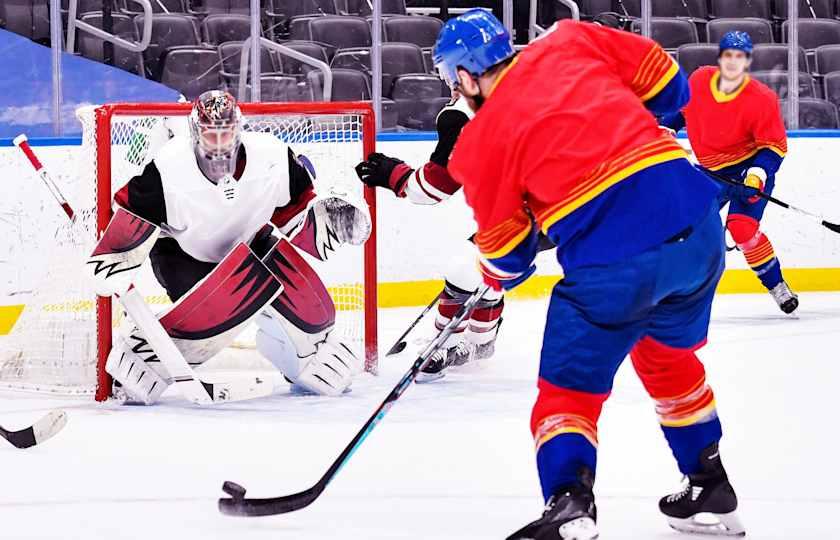 Florida Panthers at St. Louis Blues