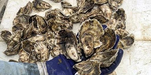 All-you-can-eat, Oysters, low country boil and traditional sides