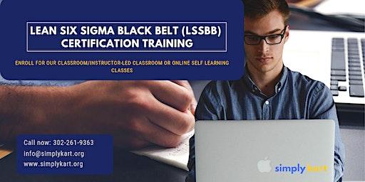 LSSBB 4 Days Classroom Certification Training in Biloxi, MS