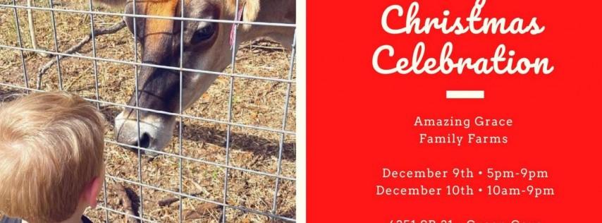 Dolly's Christmas Celebration on the Farm