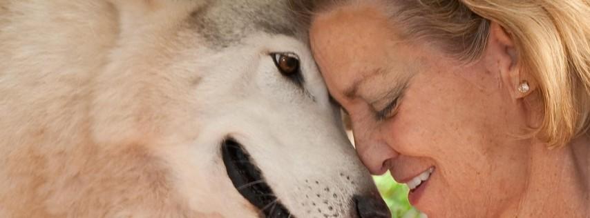 Meditate with Wolves