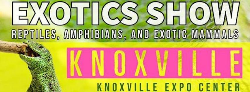 Knoxville Reptile Expo Show Me Reptile & Exotics Show