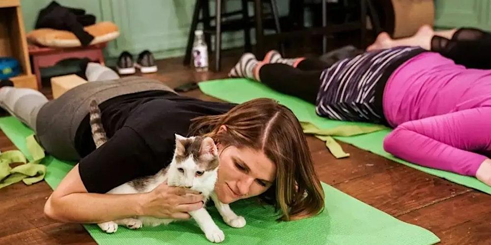 Do yoga with a cat