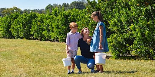 Cherrylake Farm Days U-pick Event