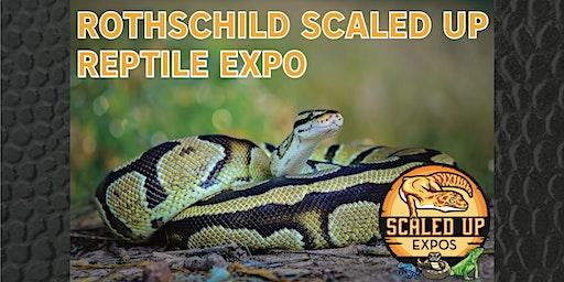 Rothschild Scaled Up Reptile Expo 12-11-2022