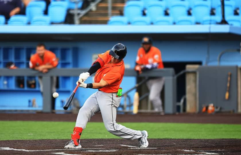 Staten Island FerryHawks vs. Long Island Ducks