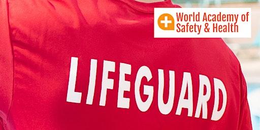 Lifeguard Instructor Course - Wilmington DE