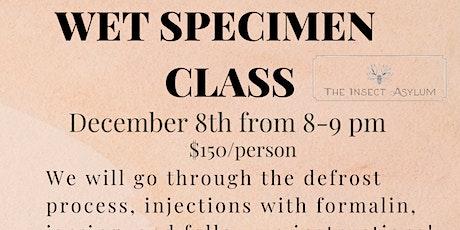 Wet Specimen Class!