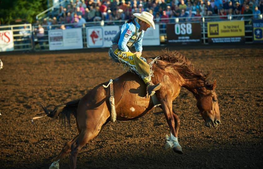 ProRodeo - Bares Broncs and Bulls Roughstock