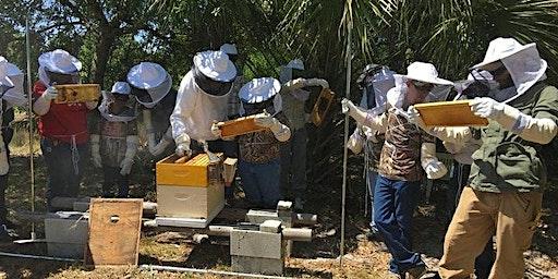 Intro to Beekeeping | Become a Beekeeper 2-day Hands-On Workshop