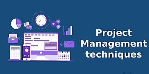 Project Management Techniques Classroom  Training in Destin,FL