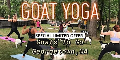 Goat Yoga Gift Certificate 2023