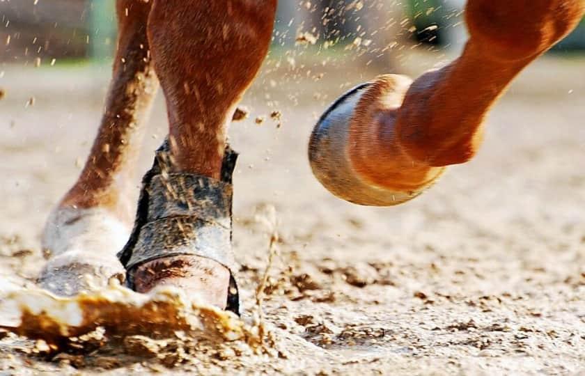 Saratoga Race Course Easy Goer Dining