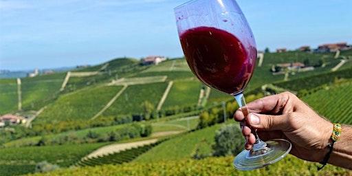 Discover the Wines of Piemonte, Italy