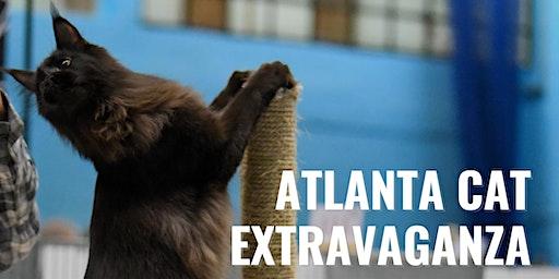 Atlanta Cat Extravaganza by LCWW Group
