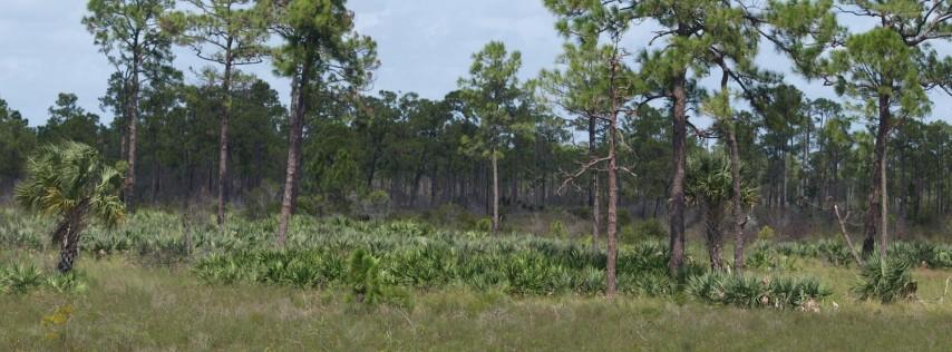 Cypress Creek Natural Area