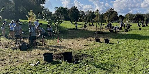 Boynton Fire Station Tree Planting | Volunteers