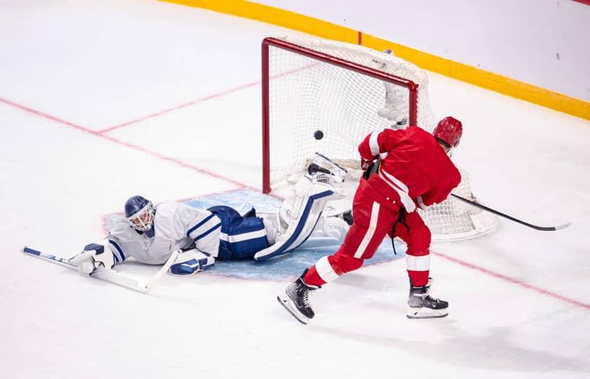 Toronto Maple Leafs at Detroit Red Wings