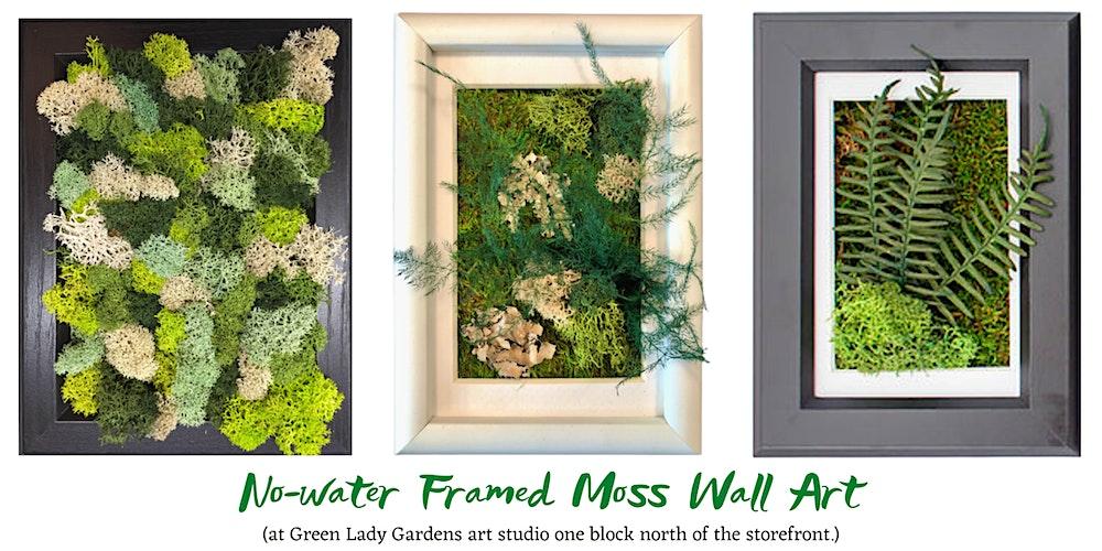 No-water  Moss  Wall Art Workshop - two 4x6/5x7 frames