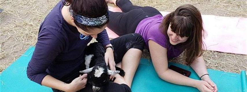 Goat Yoga and Hang with the Herd in Tallahassee