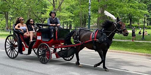 Holiday Carriage Rides