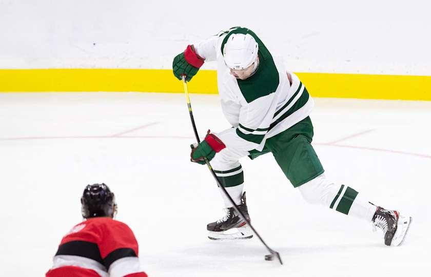 Ottawa Senators at Minnesota Wild