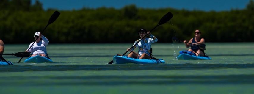 Kayak Day Tour at Shell Key with Capt Yak