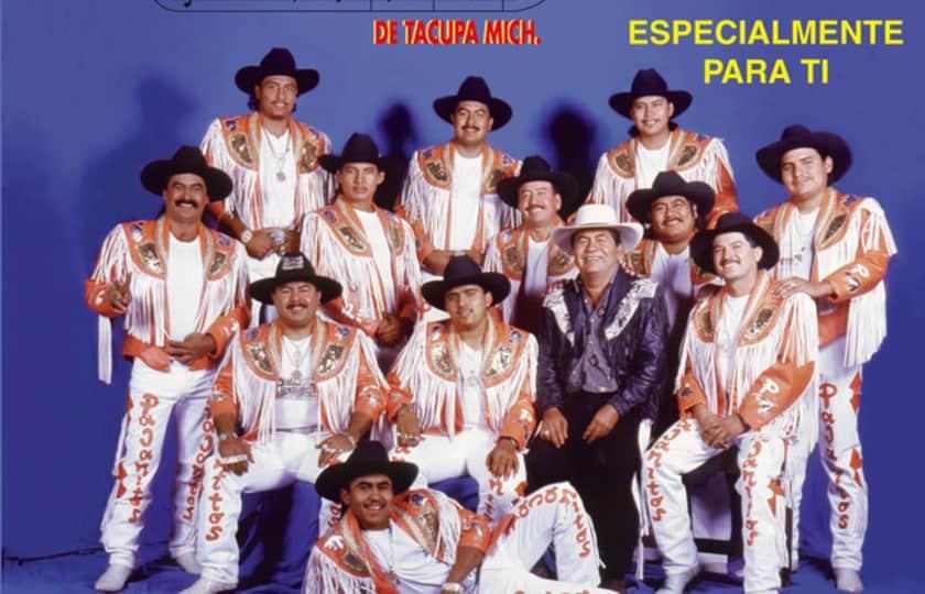 SUPER BANDA LOS PAJARITOS