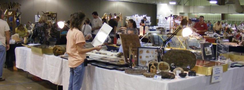 Fossil Fair