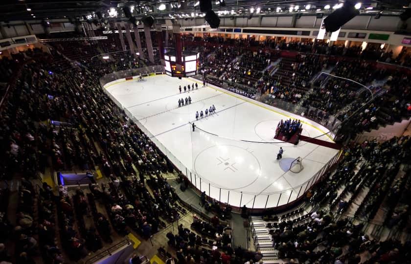 Owen Sound Attack at Windsor Spitfires