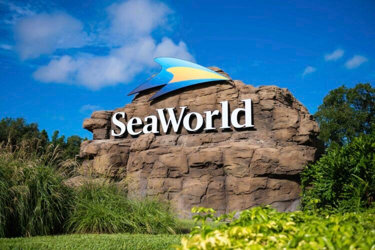 SeaWorld Christmas Celebration