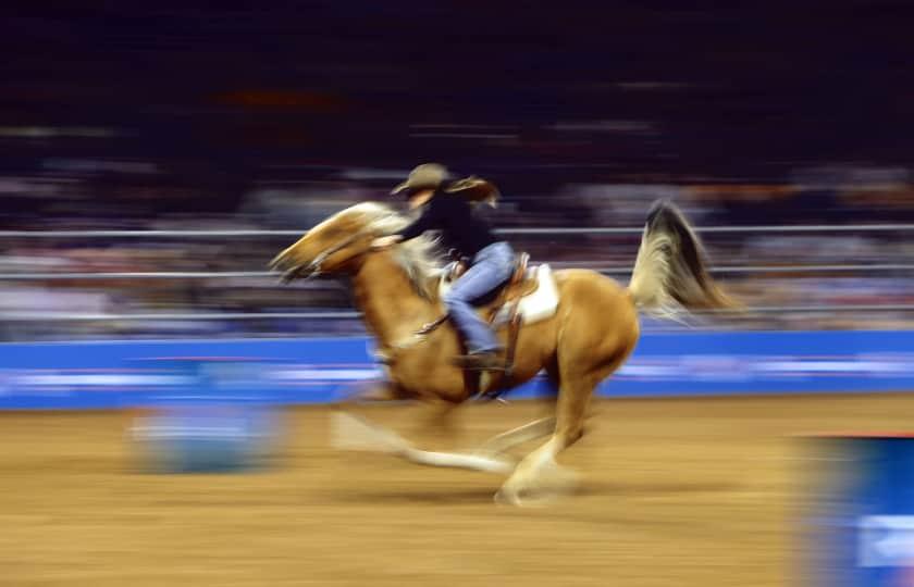 Houston Livestock Show And Rodeo