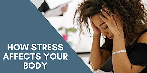 How Stress Affects Your Body