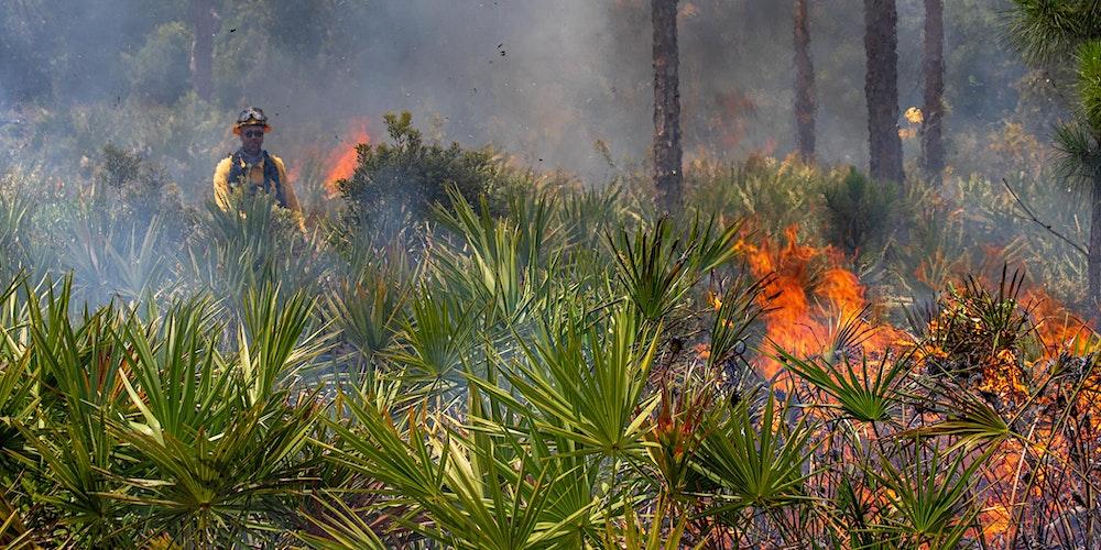 Wildland Fire: Shaping Florida's Landscape