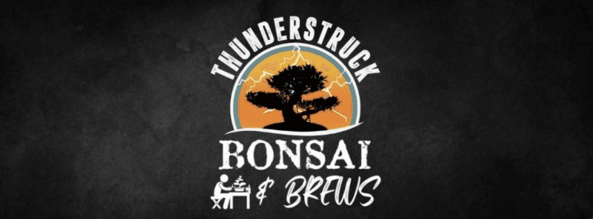 Bonsai & Brews @ 3 Daughters St. Pete