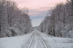 Sage Owl Circle: January: New Year Visionary Mindset