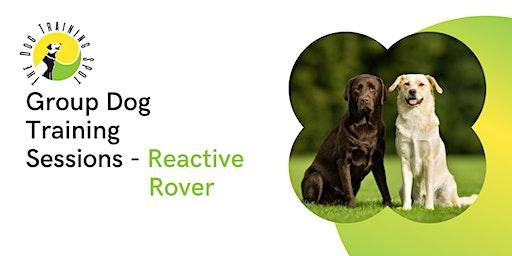 Group Dog Training - Reactive Rover