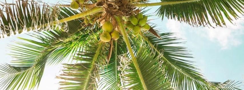 Truck Yard's Loco for Coconuts