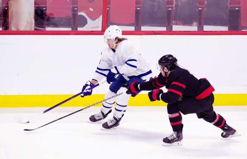 Dallas Stars at Toronto Maple Leafs