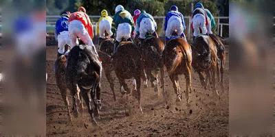 Day At The Races