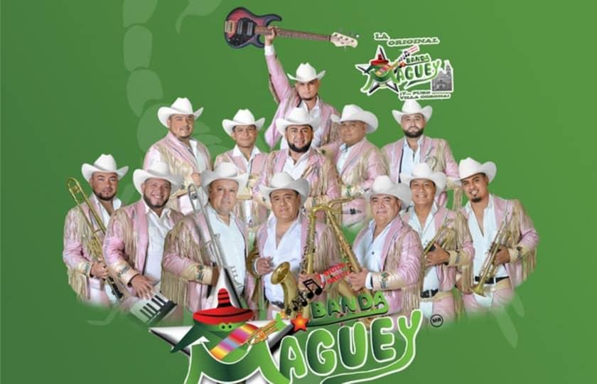 BANDA EL MAGUEY LOS VAQUEROS Y MAS