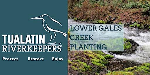 Lower Gales Creek Planting