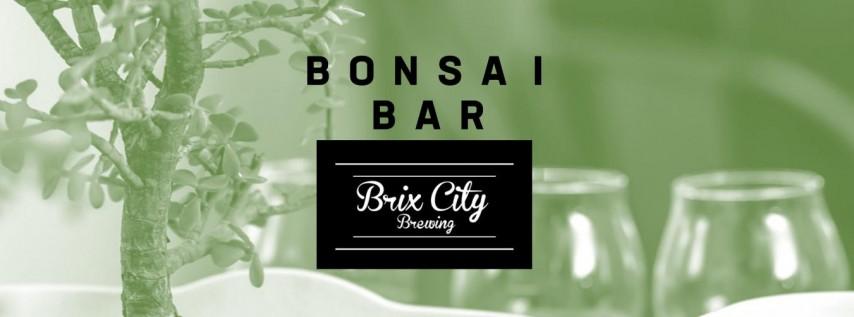 Bonsai Bar @ Brix City Brewing