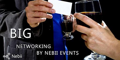 BIG - Business Networking w/ Wine, Featured Speaker + DJ Music, Near Rainey