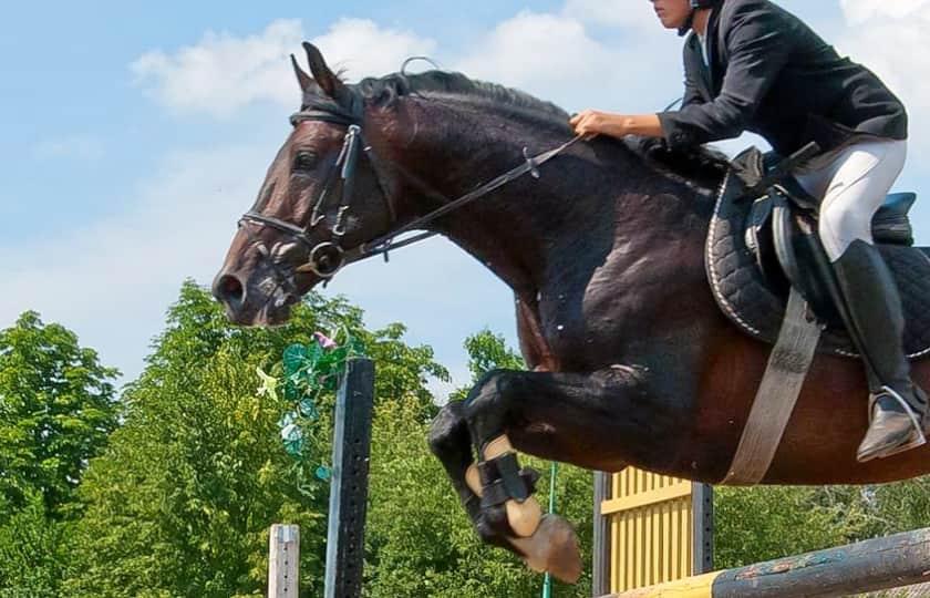 GALA OF THE ROYAL HORSES